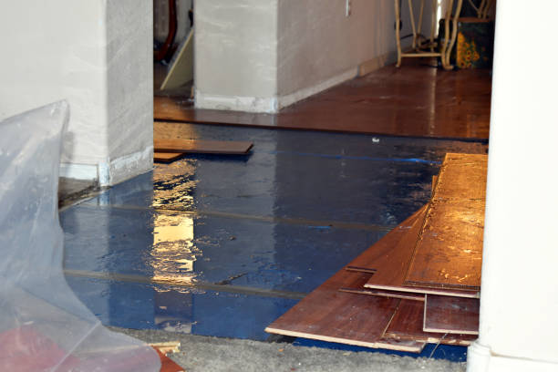 Professional Sewage Cleanup technician working in Martin, MI