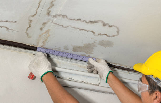 Reliable Sewage Cleanup contractor in Martin, MI by Water Damage Irwin